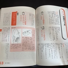 すべてがわかる妊娠と出産の本の画像