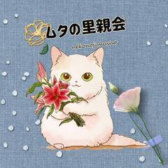 3月3日（日）里親会参加♥ラムネちゃん♥ − 大阪府