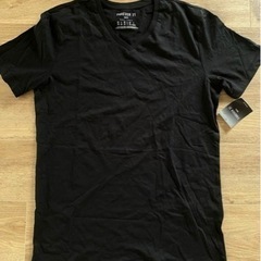 新品未使用 メンズ Tシャツの画像