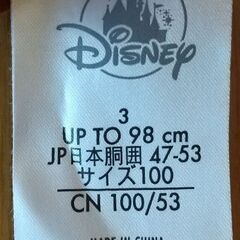 100cm トイ・ストーリー スイムパンツ+ラッシュガードおまけ✨の画像