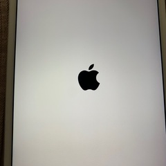 APPLE IPAD MINI 4 WI-FI 128GB の画像