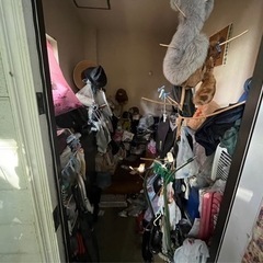 ゴミ屋敷専門　不用品回収プロ　 - 越谷市