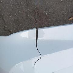 トヨタ　レイズ　フロントバンパー　割れありの画像