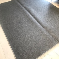 ニトリホットカーペット(保温シート付)