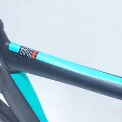 FELT TK3 2019年モデル ピストバイクの画像