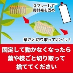 チャドクガ防除剤　2本の画像