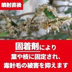 チャドクガ防除剤　2本の画像