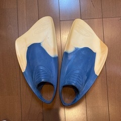 ボディボード、フィン、カバーの画像