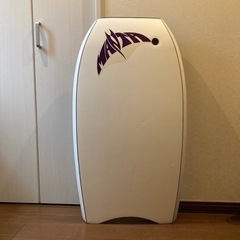 ボディボード、フィン、カバーの画像