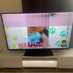 家電 テレビ 液晶テレビ