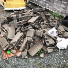 ブロックガラの画像
