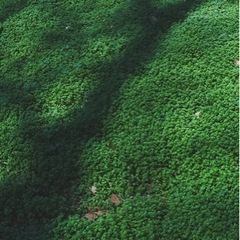 もっと写真を好きになる第一歩に