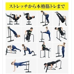 【美品】STEADY ディップスタンドの画像