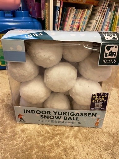 室内雪遊び