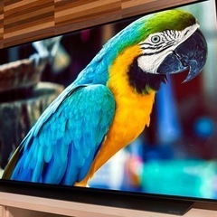 4K有機EL LG OLED 55CXPJAの画像
