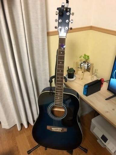 楽器 弦楽器、ギター