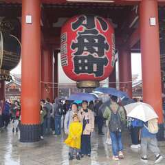 1000JPY / 1 hour  Budget tour gu...
