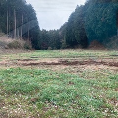 アウディA6アバント　2.8クワトロ4WD RS仕様