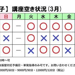 【平日残り４枠！】大手塾講師歴20年！中学受験のプロによるオンライン指導！「受験リーダー」の画像