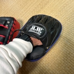 格闘技のサンドバック‼️ 一個ずつセットの画像