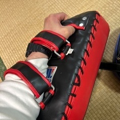 格闘技のサンドバック‼️ 一個ずつセットの画像