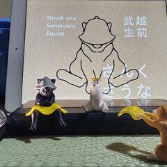 急募!サウナ専門店オープニングスタッフ募集