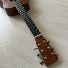 リトルマーチン　LXK2　LittleMartin　の画像