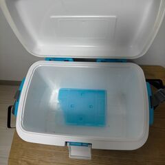 メバリング アジング　リールロッドルアークーラーボックス　引退セットの画像
