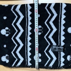 再値下‼️ミキミニ３点セット ストール兼ブランケット,エコバッグ,クラッチバッグの画像