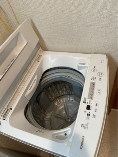 家電 生活家電 洗濯機