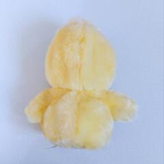 Disney Baby Daisy ぬいぐるみの画像
