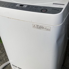 洗濯機あげますの画像