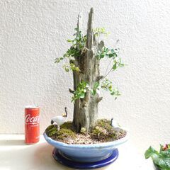 盆景石柱