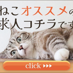 ＼スピード採用☆／面接～研修まで最短翌日！高日給★11,000円～！週1日～OK/未経験OK/ファッション自由 IS警備 東京本社 中目黒の画像