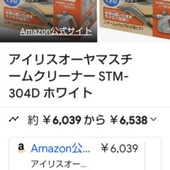 ‼️年末掃除グッズ‼️【未使用・アイリスオーヤマ】スチームクリーナー コンパクトタイプSTM-304Dの画像