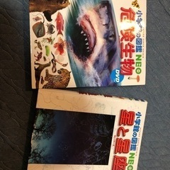 小学館人気図鑑2冊セットDVD付き
