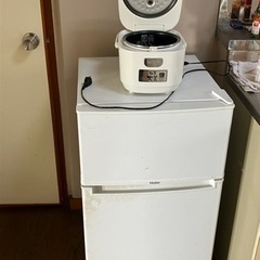 家電 生活家電 掃除機