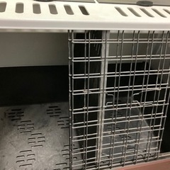 ペット　ケースの画像