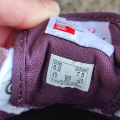 Vans Era Wine Tastingの画像