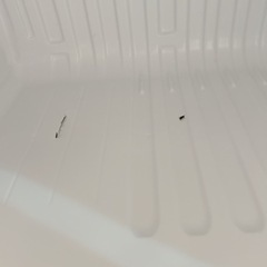 【お譲り先決定】AQUA  小型　ノンフロン冷凍冷蔵庫　単身用　の画像