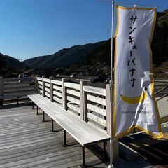 ドリンクスタンド接客・ドリンク制作スタッフの画像