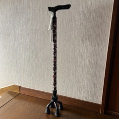 杖
