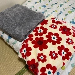 【交渉中】【値下げ！】ソファーベッドとシングル掛け布団セットの画像