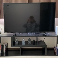 家電 テレビ 液晶テレビ