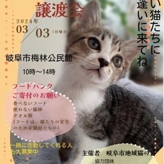 岐阜市梅林 猫の譲渡会