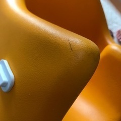 【決まりました】カリブ　オレンジの画像