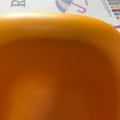 【決まりました】カリブ　オレンジの画像