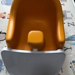 【決まりました】カリブ　オレンジ