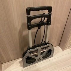 ハンドキャリー