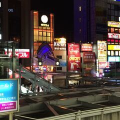🔸🔶特に難しい事が無くお仕事が出来る短期可能な建築系軽作業（日払...